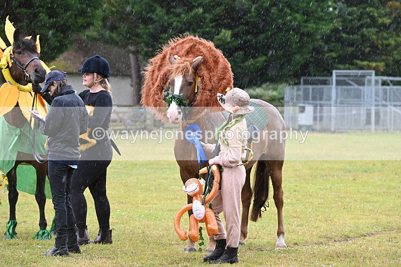 WJ6_9390 - Class 11 Fancy Dress