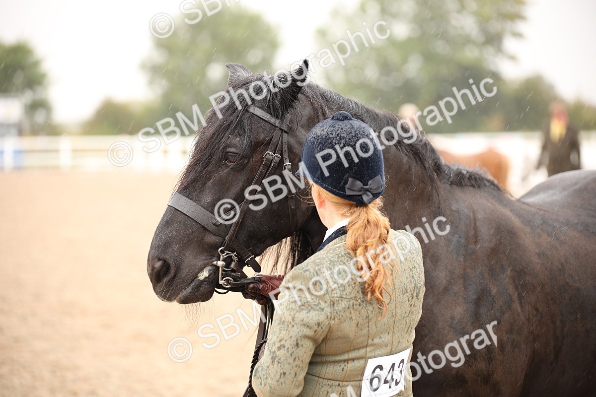 SBM_20697 - Class 705 - IH  Combination 65+