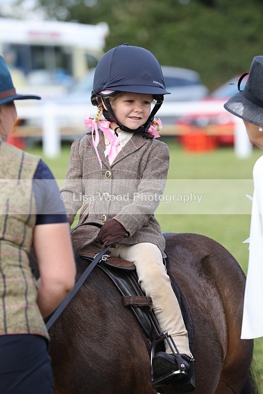 JPP_0416 - Class 14: Cornish Combination Leading Rein
