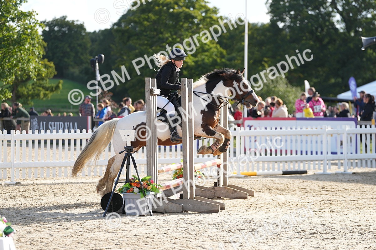 SBM_51016 - J8 - Junior Pony 65cm Championship