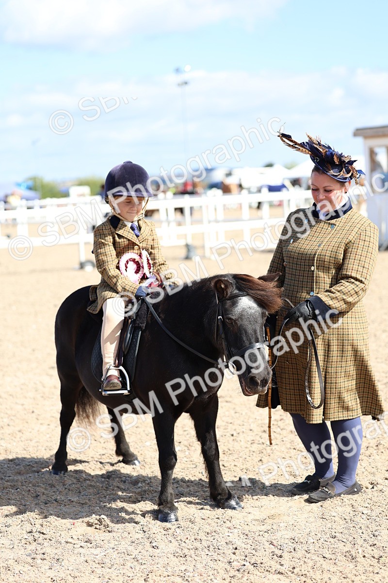 SBM_13123 - Class 309 - Lead Rein Pony