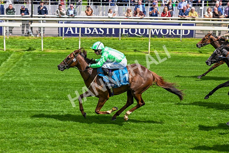 120626-Race 2-Everatease-6852 - Race 2 14.25pm Constant Security Keeping York Racegoers Safe Rous Selling Stakes