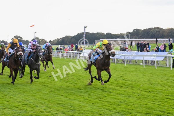 111024-Race 4-End Of Story-1814 - Race 4 3.10pm Parsonage Hotel And Cloisters Spa Nursery Handicap