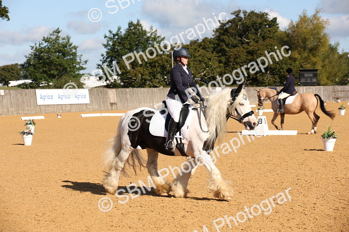 SBM_01937 - D2 Small Tour Championship Intro C