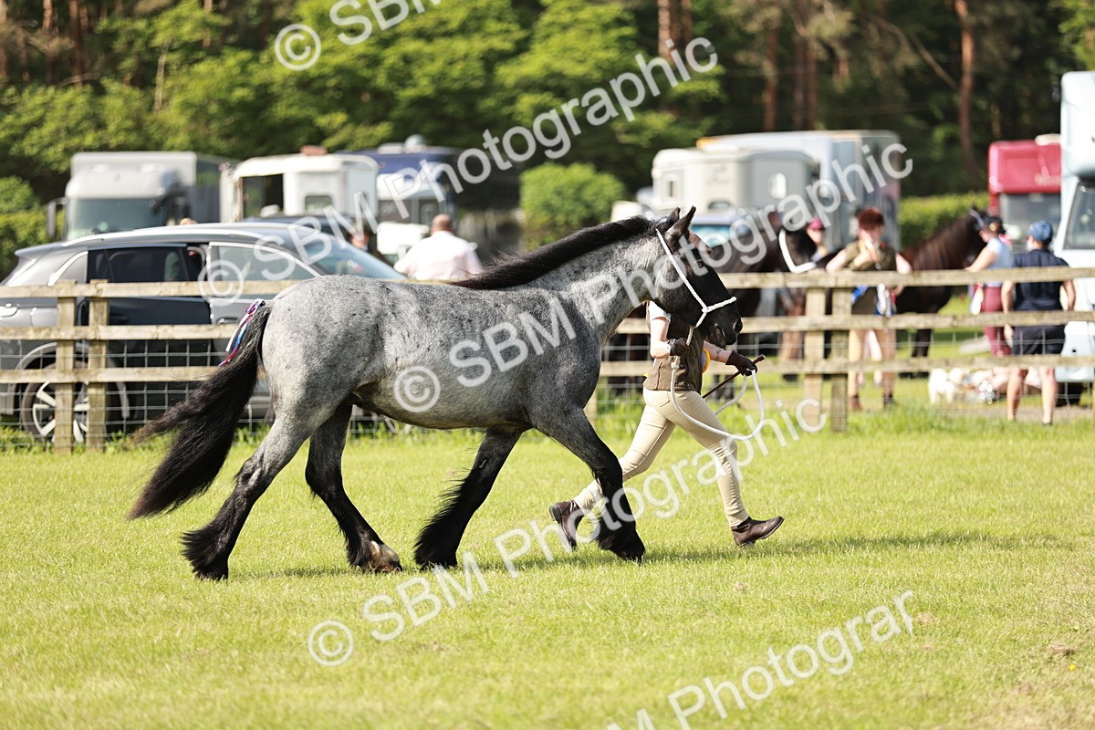 SBM_01572