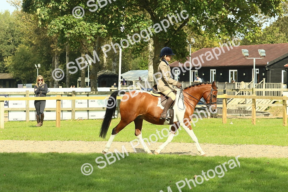 SBM_67486 - S56 - Coloured Pony Ridden