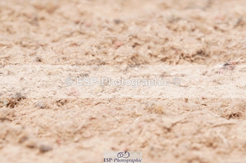 250621-143612-09472 - UnA Cls 3-4, Prelim 1+2