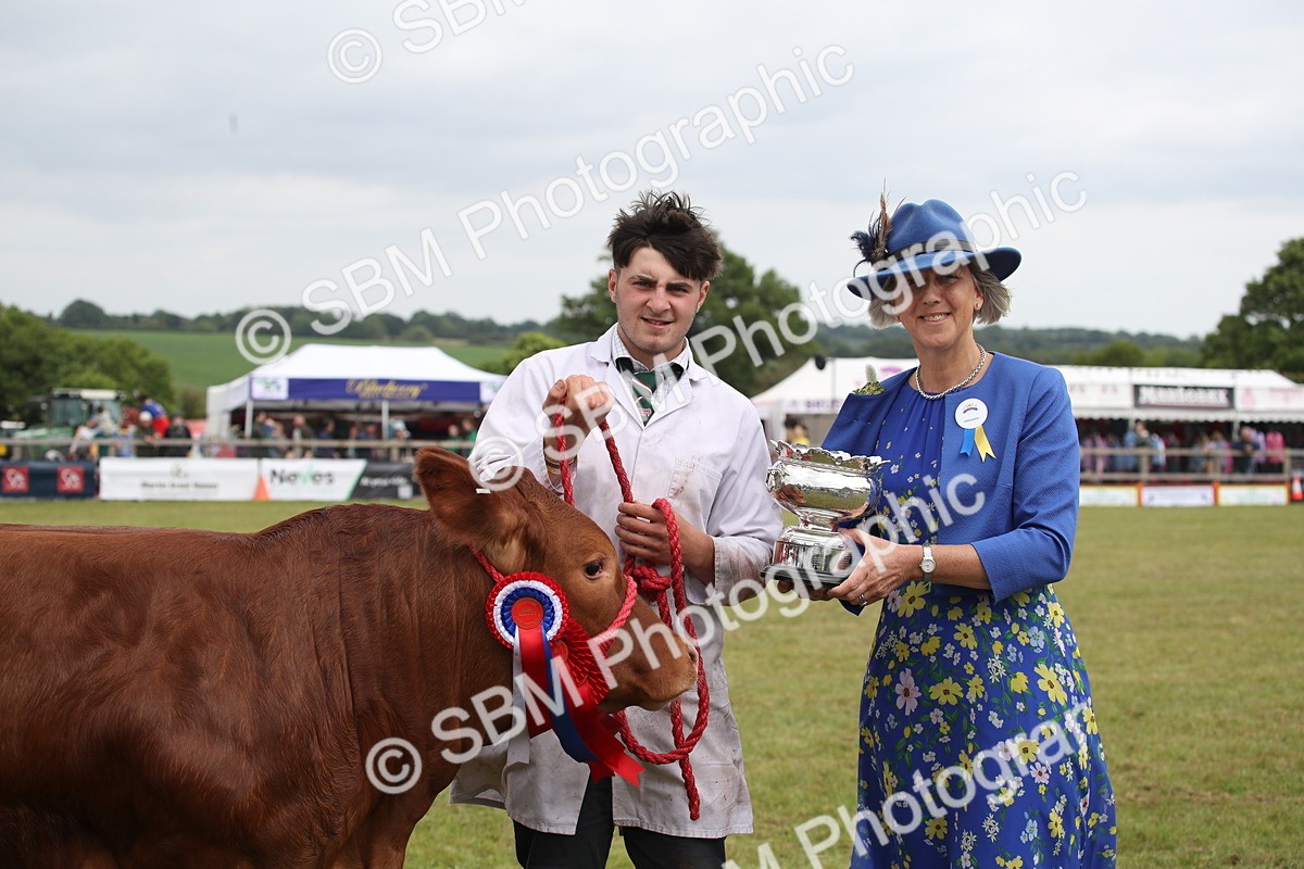 SBM_07936 - Grand Parade