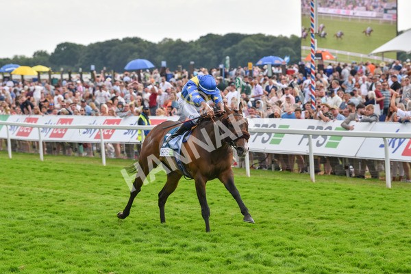 170623-Race 7-The Green Man-7505 - Race 7 5.25pm Clean Up With PPS Handicap