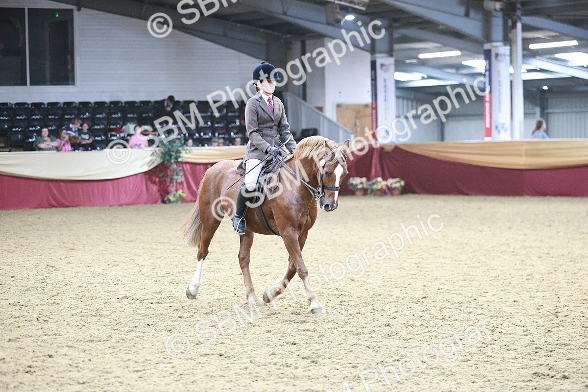 SBM_07127 - Class 10R - Regional Ridden Diamond