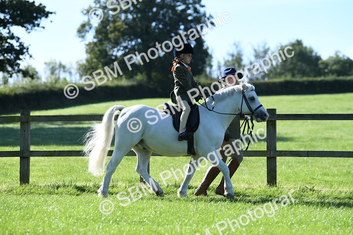 SBM_36737 - S18 - Novice & Newcomers Lead Rein Pony
