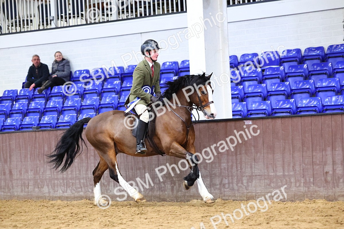 SBM_005638 - M&M Novice WHP Championship
