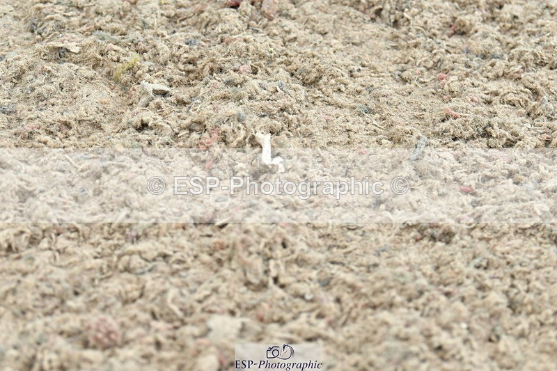 230721A-114353-05828 - Cls 18, 1 Star Silver 1.20m