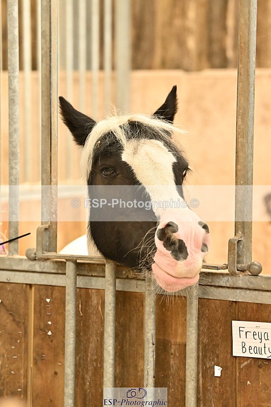 250821B-125848-00464 - Stable Shots and Group Photo