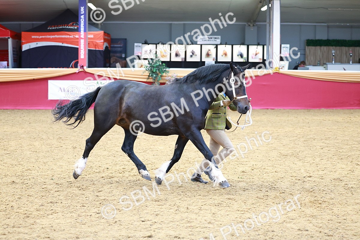 SBM_04143 - Class 9R - IH Pre-Vet