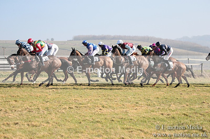 PtP 230219 54 - Vine & Craven Point-To-Point - Barbury 23/02/19