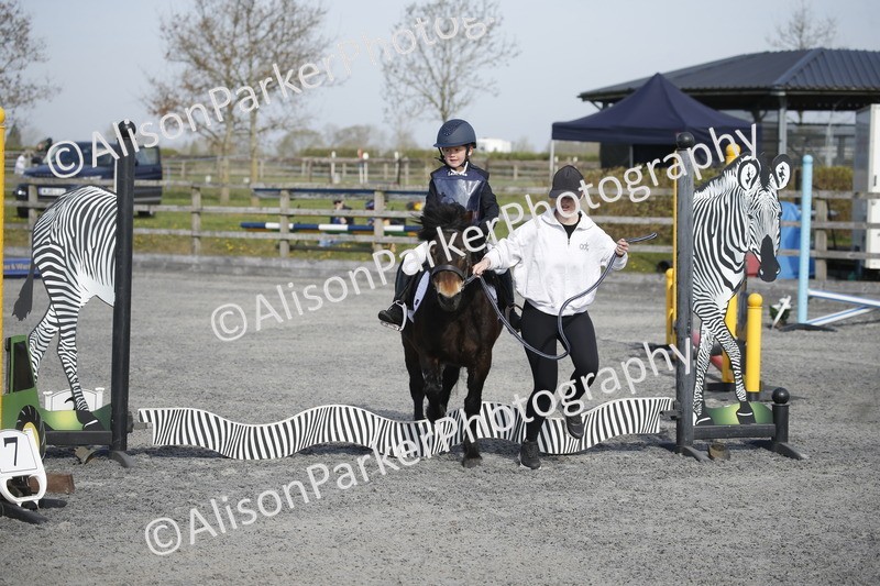 20250412-0129 - Show Jumping
