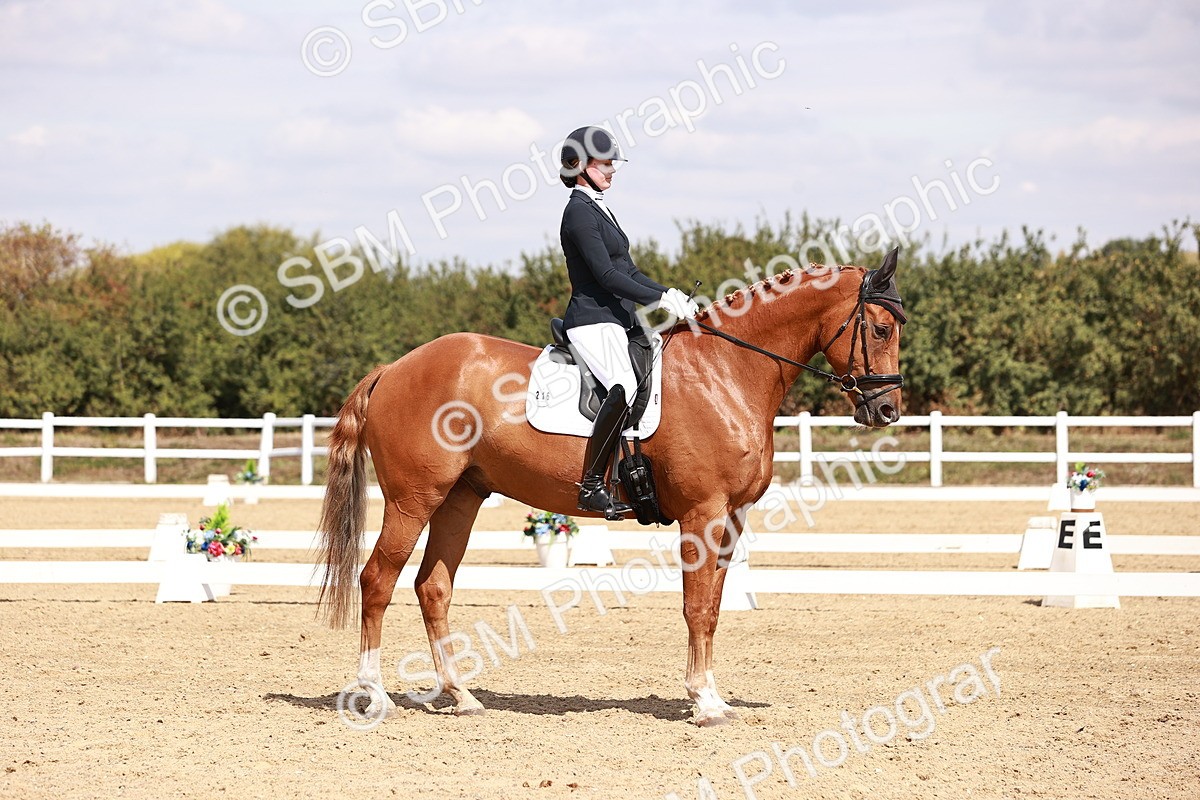 SBM_018460 - Class 17 - Novice 6