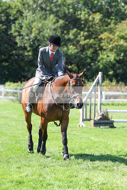 3E7A8313 - Class 4: Novice working Hunter