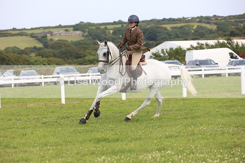 JPP_4158 - Class 25: Working Show Horse