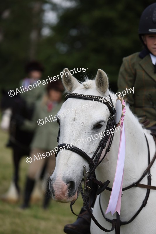 20260614-0837 - Class 20 - Beginners Working Hunter Pony
