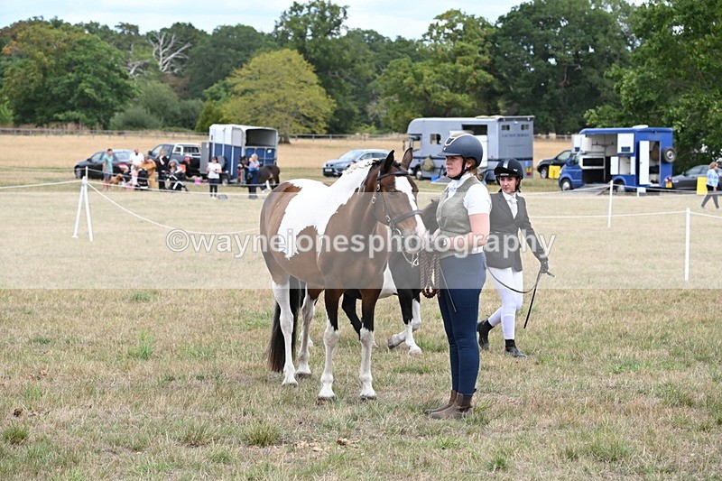 WJ6_5748 - Class 18 In-hand Coloured