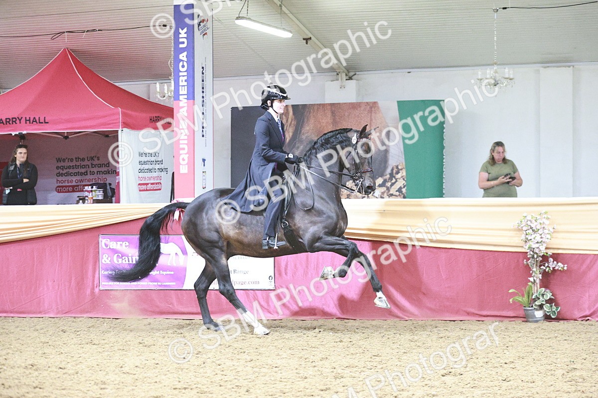 SBM_08832 - Class 12R - Regional Ridden Pre-Vet