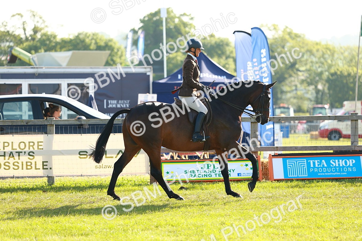 SBM_10745 - Class 66-69 - RIHS Ridden Hunters Inc Small Hunter