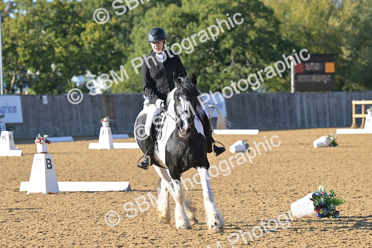 SBM_13039 - D3 - Small Tour Championship Intro 3