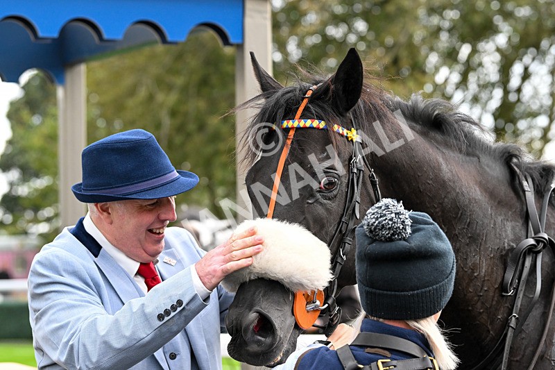 240924-Race 4-Tees Spirit-6306 - Race 4