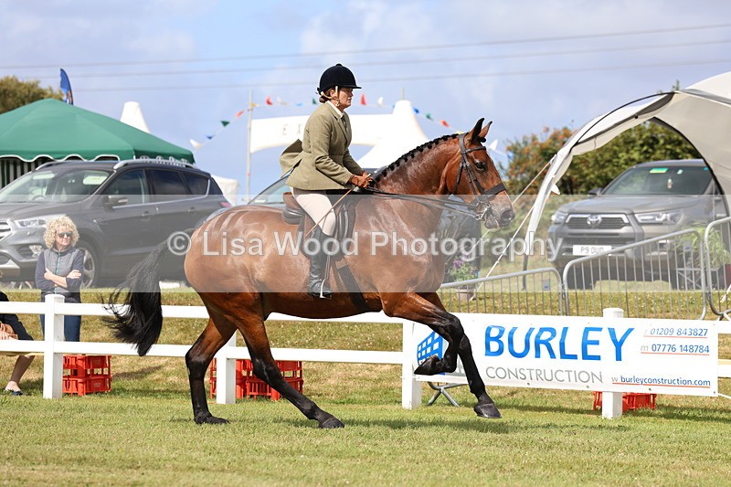 3E7A9400 - Class 4: Rising Star M/H Hunter