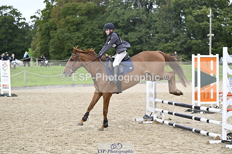 251005A-130036-04000 - Cls 08 Mini 70-75cm