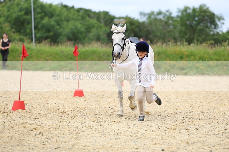 3E7A9415 - Walk trot run