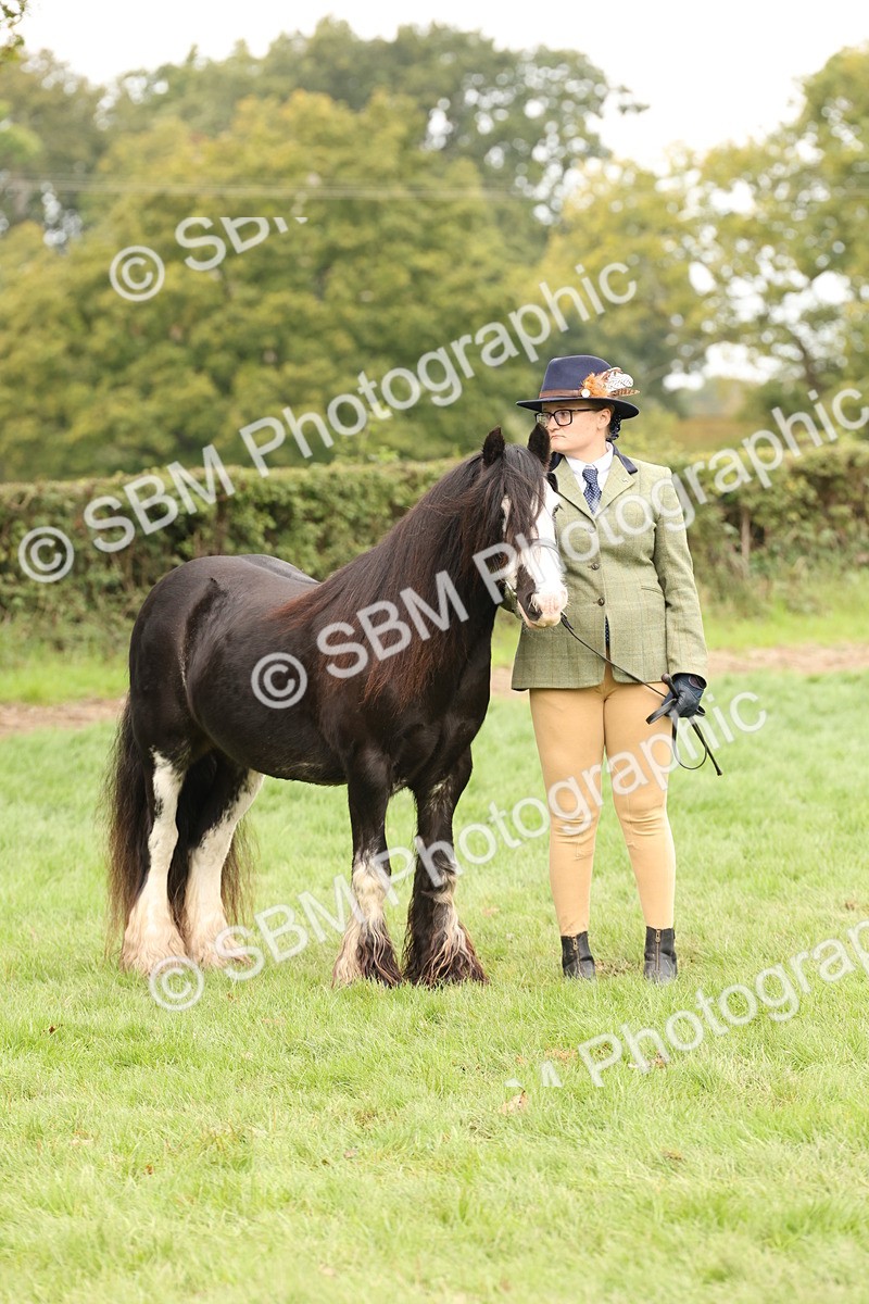 SBM_59354 - S57 - Traditional Cob In Hand