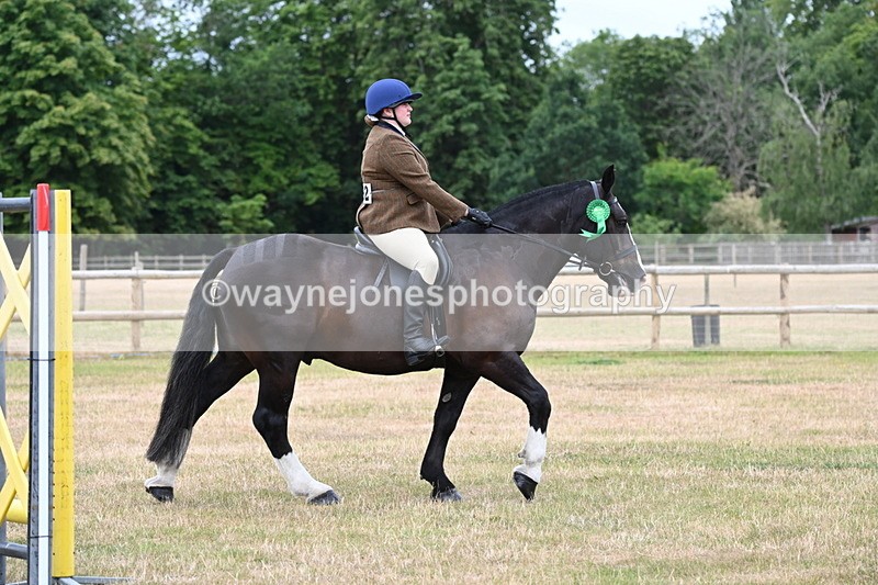 WJ6_4091 - Class 9 Tack & Turnout
