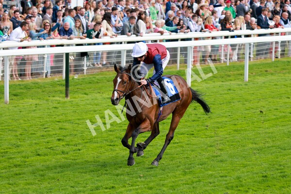 yr21052022r5-25 - Race 5: 4:07pm Phoebe Johnson Celebration EBF Restricted Novice Stakes