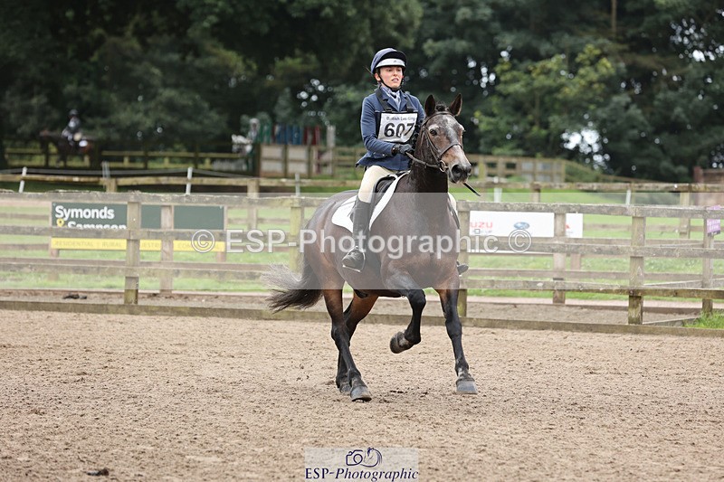 240804-144221-16032 - 607-Abi_Mobbs-MYSTICAL_ADMIRAL