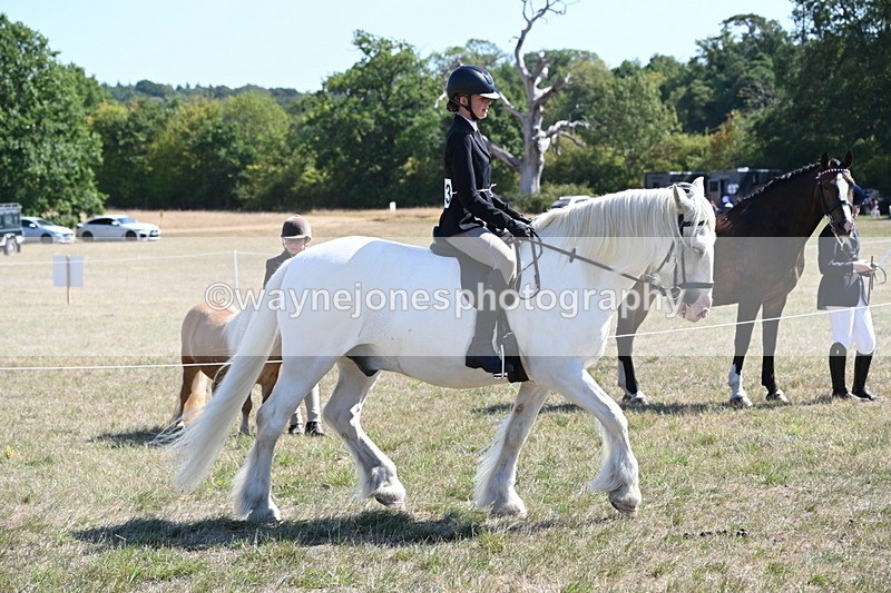 WJ6_8271 - Class 37a Best Loan Pony Ridden