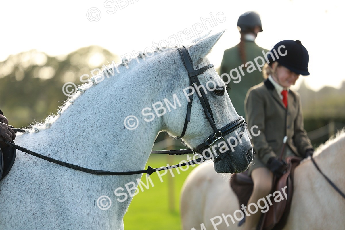 SBM_28806 - S7 - Novice & Newcomer Ridden Pony