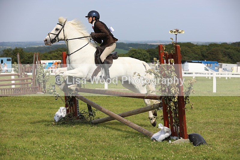 JPP_4014 - Class 24: Working Hunter 90cm