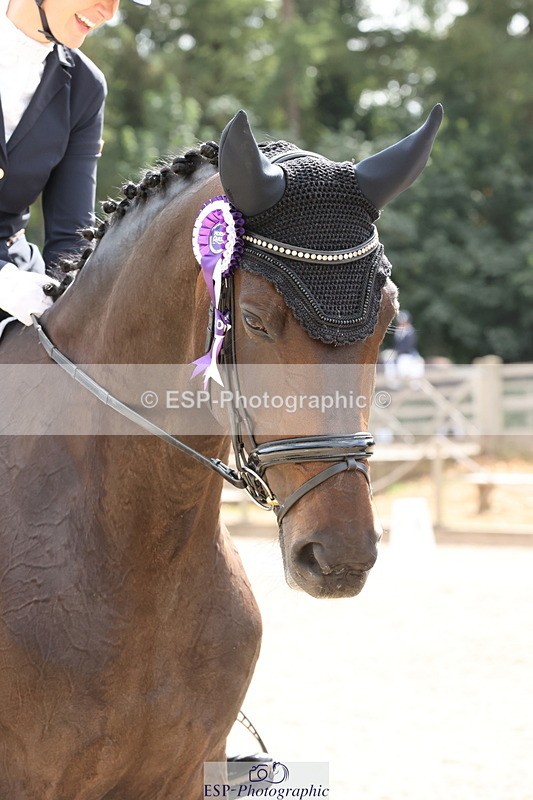 250809A-155410-04660 - Elementary SILVER Presentations