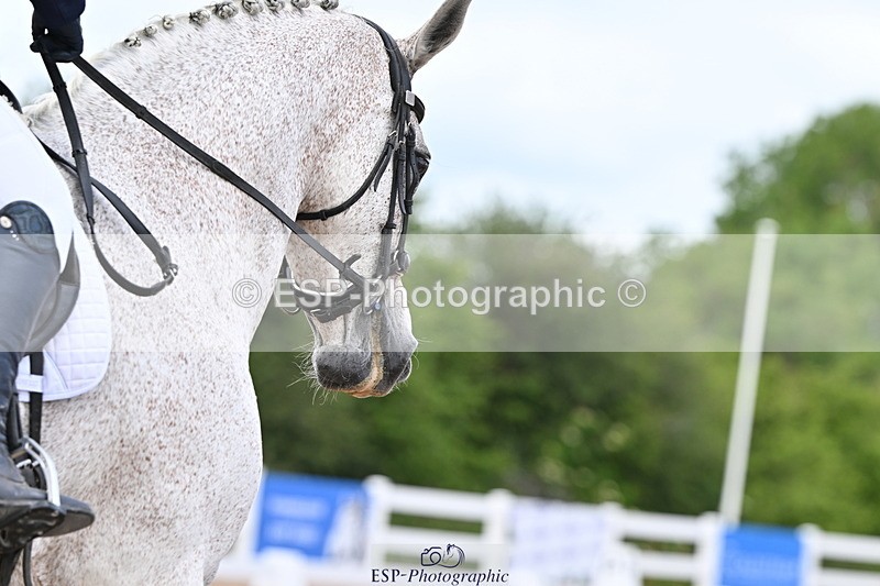 240622A-131339-10380 - Cls 30 BD Elementary 53