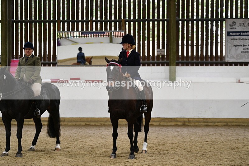 WJ5_8047 - Class 13 Ridden Part Breed