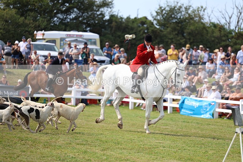 3E7A0150 - Parade of Hounds