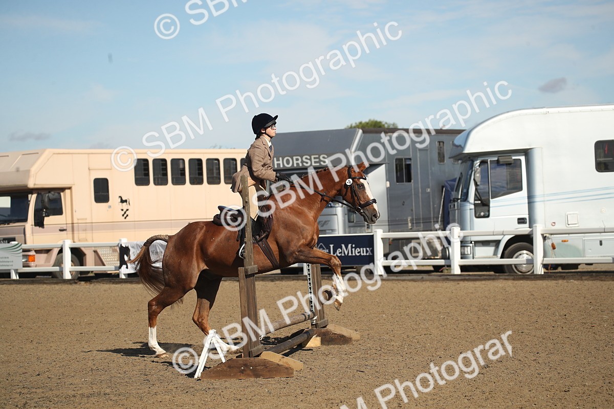 SBM_12720 - Class 504b - Junior Working Veteran - 40cm (20+)