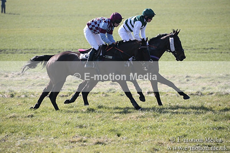 PtP 240218 12 - Vine & Craven Hunt Point-to-Point Barbury racecourse 24/02/18
