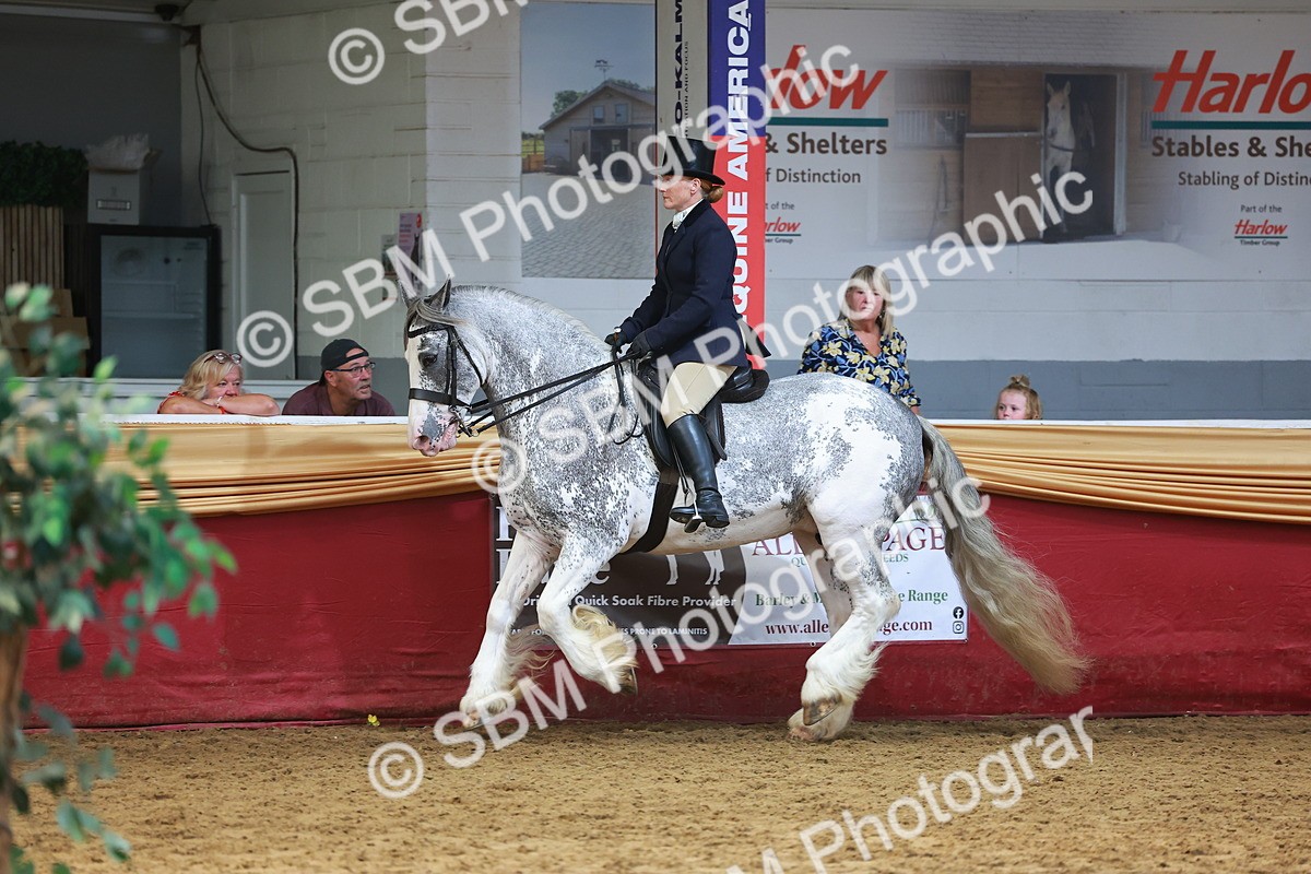 SBM_20119