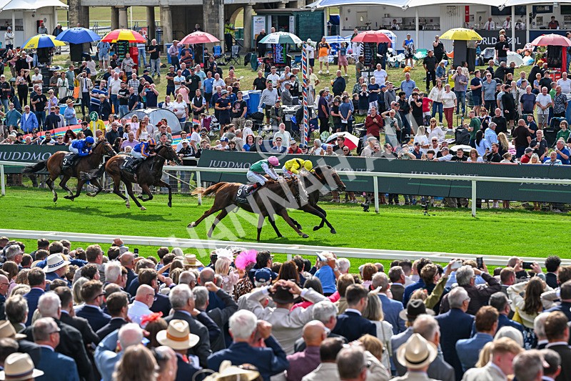 190826-Race 4-Item-1480 - Race 4 15.35pm Juddmonte International Stakes