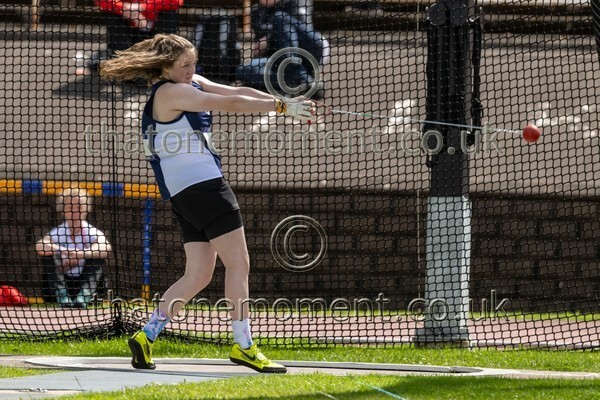 SIAB23-912935 - Field Female Set One