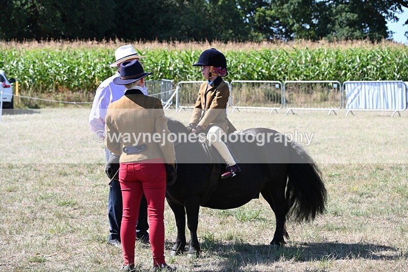 WJ6_8074 - Class 36 Lead Rein